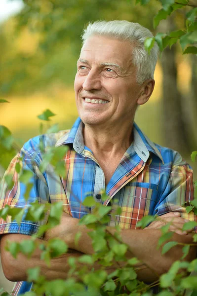 Senior man in zomer park — Stockfoto