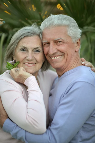 Äldre par i sommaren park — Stockfoto