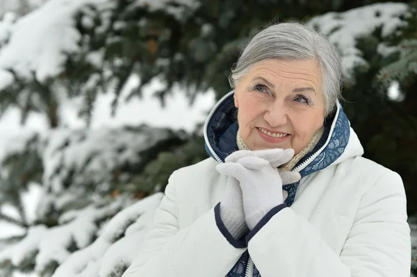 Mulher velha no inverno — Fotografia de Stock