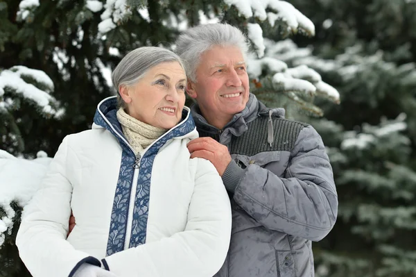 Senior paar winter in de open lucht — Stockfoto