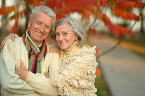 Senior couple at autumn park — Stok fotoğraf