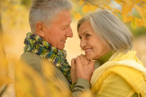 Senior couple at autumn park — Stockfoto