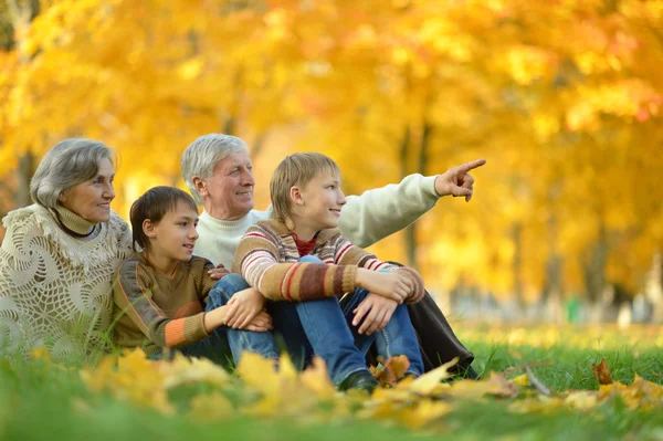 Abuelos con niños en el parque — Foto de Stock