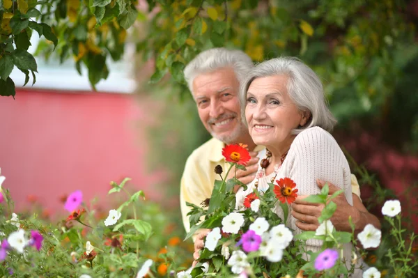 Pareja mayor en el parque de verano — Foto de Stock