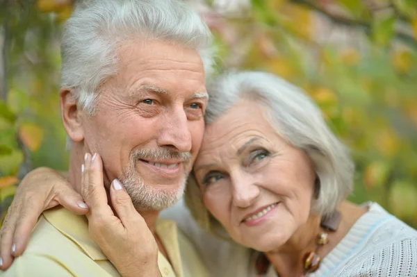 Senior couple at  autumn park — Stok fotoğraf