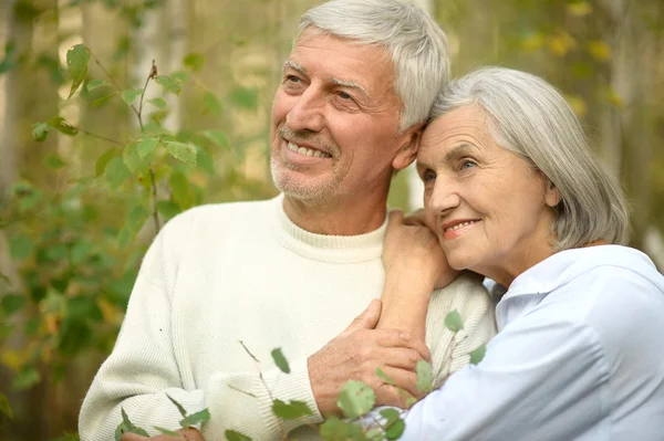 Senior couple at  autumn park — 图库照片