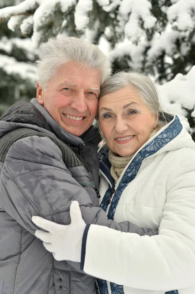 Couple sénior en plein air en hiver — Photo