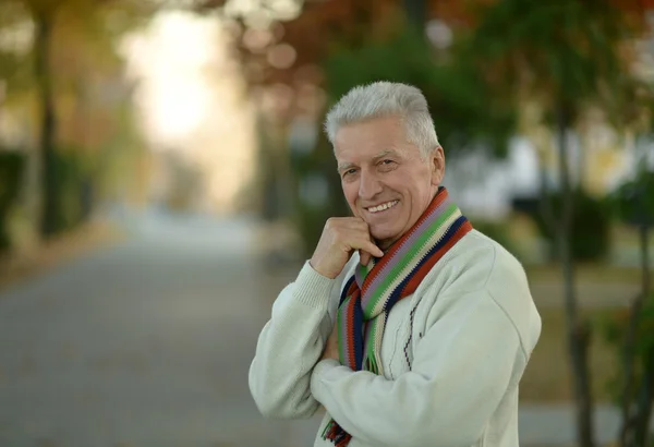 Elderly man in park — Stock Photo, Image