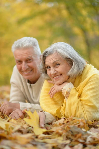 Seniorenpaar im Herbstpark — Stockfoto