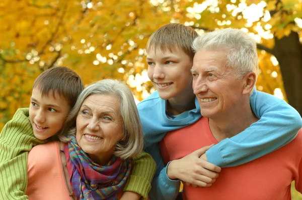 Grandparents with children in park — Stock Photo, Image