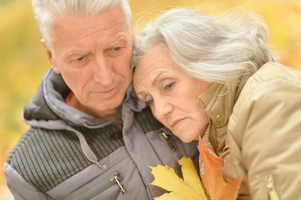 Senior couple at autumn park — Stok fotoğraf