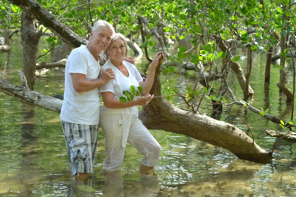 Mature couple   in summer park — Stock Photo, Image