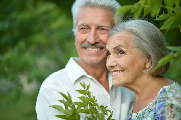 Ouder paar in zomer park — Stockfoto