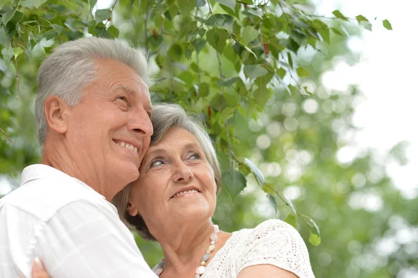 Kärleksfull äldre par i parken — Stockfoto