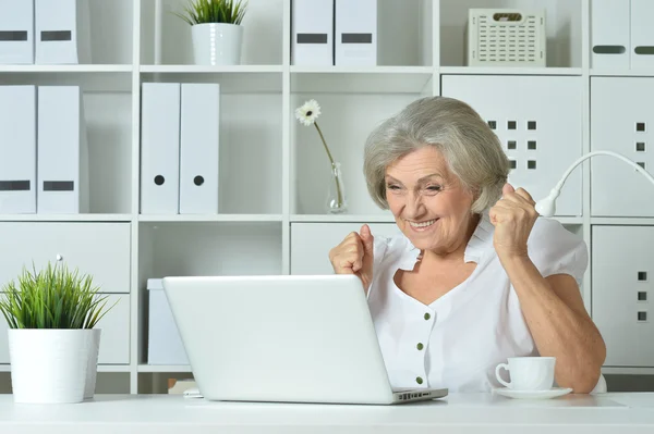 老妇在笔记本电脑上工作 — 图库照片