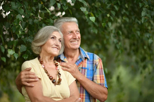 Mature couple   in summer park — Stock Photo, Image