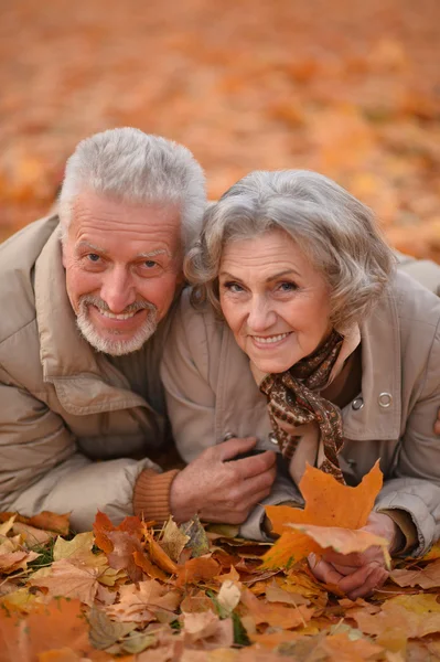 Autumn Park 'ta kıdemli bir çift — Stok fotoğraf