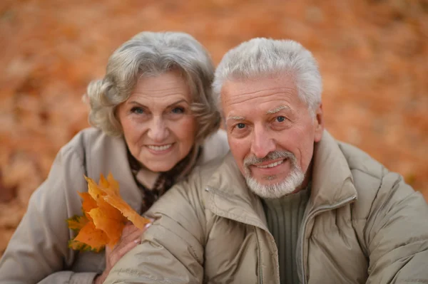 Casal sênior no parque de outono — Fotografia de Stock