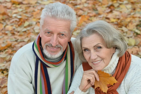 Senior par i höstparken — Stockfoto