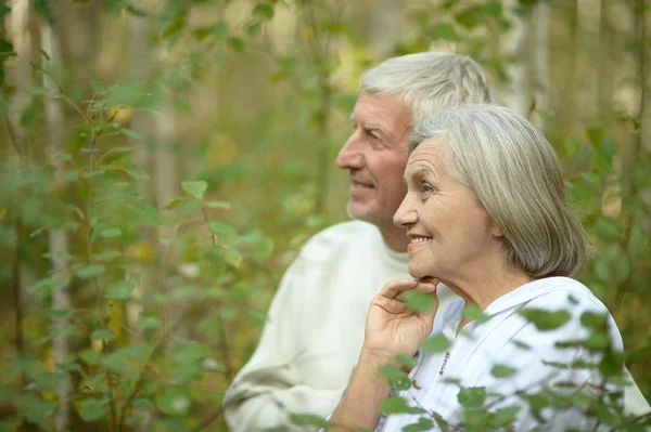 Älteres Paar im Sommerpark — Stockfoto