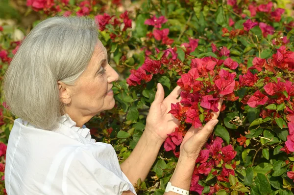 年上の女性の花を持つ — ストック写真