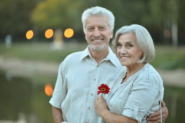 Sorridente vecchia coppia con fiore — Foto Stock