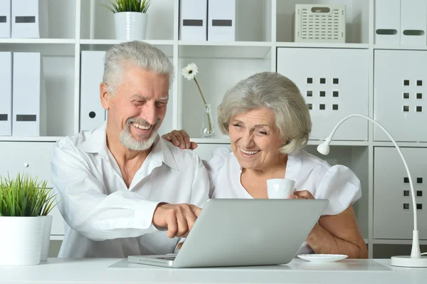 快乐的老夫妇，带着笔记本电脑 — 图库照片