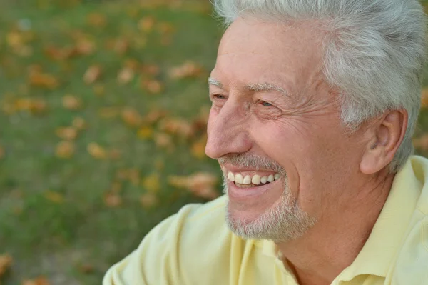 Senior man in zomer park — Stockfoto