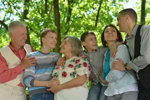 Family relaxing in summer park — Stock Photo, Image