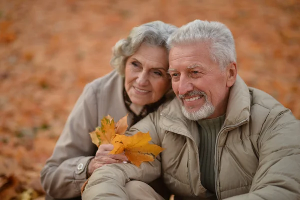 Idős pár az őszi parkban — Stock Fotó