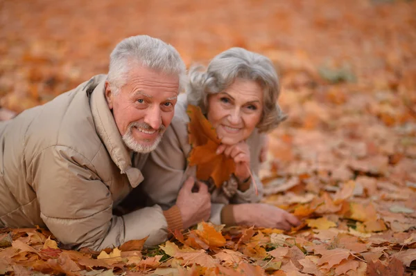 Pareja mayor en el parque de otoño — Foto de Stock