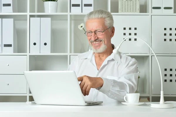 Reifer Geschäftsmann arbeitet mit Laptop — Stockfoto