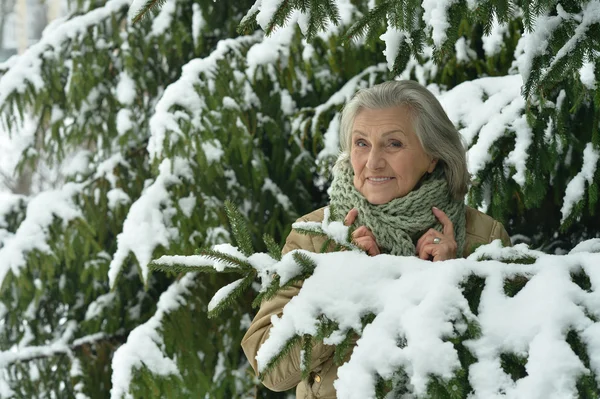 Стара жінка взимку — стокове фото