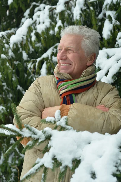 Äldre man står på vintern — Stockfoto