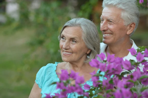 Senior couple  in summer park — Stock Photo, Image