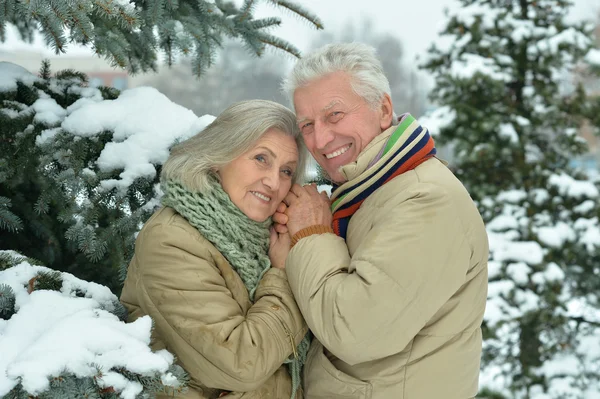 Senior paar winter in de open lucht — Stockfoto