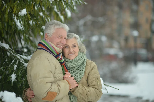 年长的夫妇，在冬季户外活动 — 图库照片