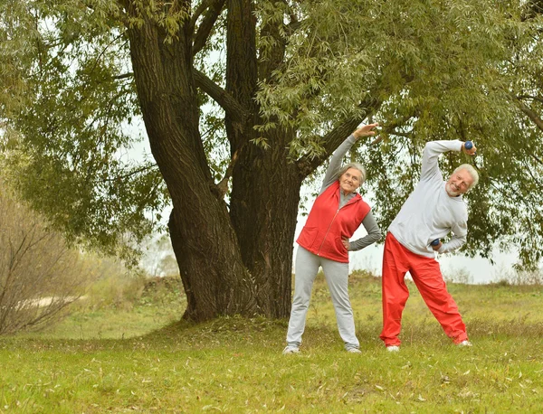 Passa äldre par utövar — Stockfoto