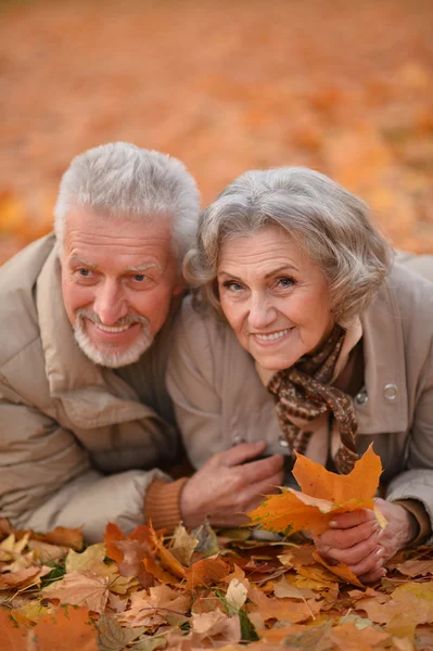 Coppia Senior nel parco autunnale — Foto Stock