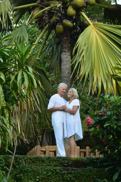 Elderly couple  in tropical garden — Stock Photo, Image