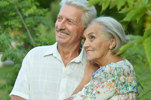 Äldre par i sommaren park — Stockfoto