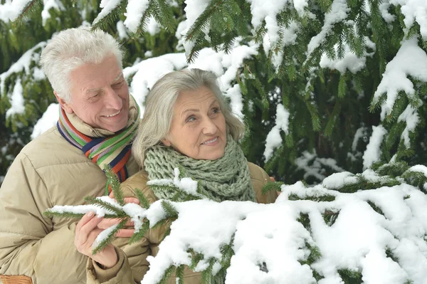 Seniorenpaar im Winter im Freien — Stockfoto