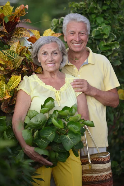 Starsze pary w tropikalnym ogrodzie — Zdjęcie stockowe