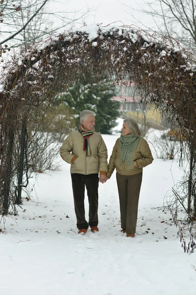 Starší pár na winter park — Stock fotografie