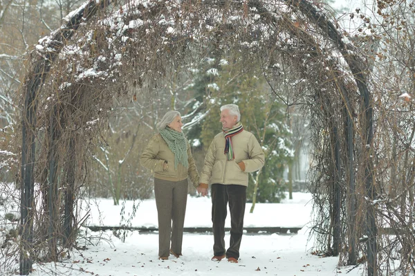 Senior couple  at winter park — Stock Photo, Image