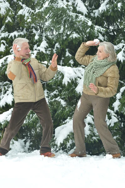 Pareja mayor en invierno al aire libre — Foto de Stock