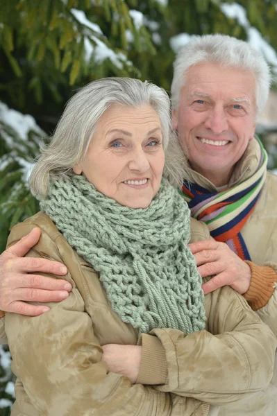 Senior paar winter in de open lucht — Stockfoto