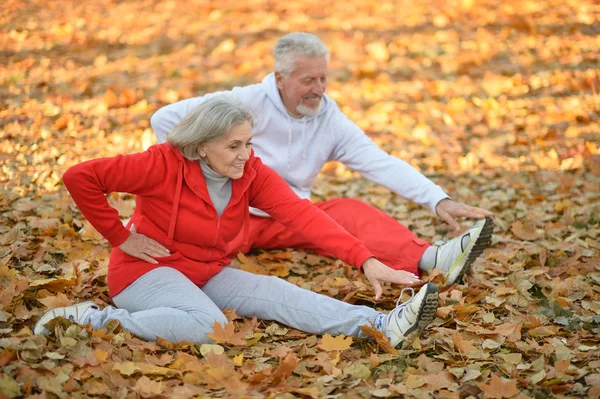 fit senior couple exercising