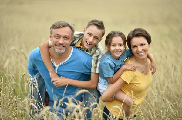 Gelukkige familie op veld — Stockfoto