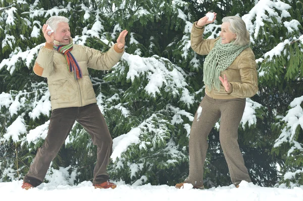 Senior couple at winter outdoors — Stock Photo, Image